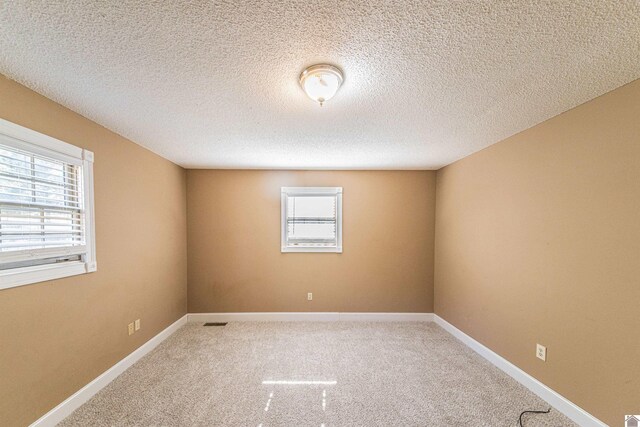 9618 Scale Rd, Benton, KY 42025 - unfurnished room featuring light carpet, baseboards, a textured ceiling, and a healthy amount of sunlight