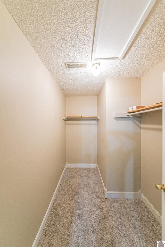 9618 Scale Rd, Benton, KY 42025 - walk in closet with visible vents and carpet floors