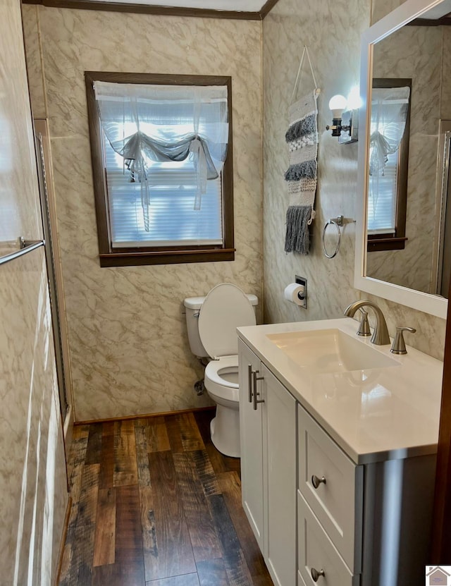 bathroom featuring vanity, hardwood / wood-style floors, and toilet