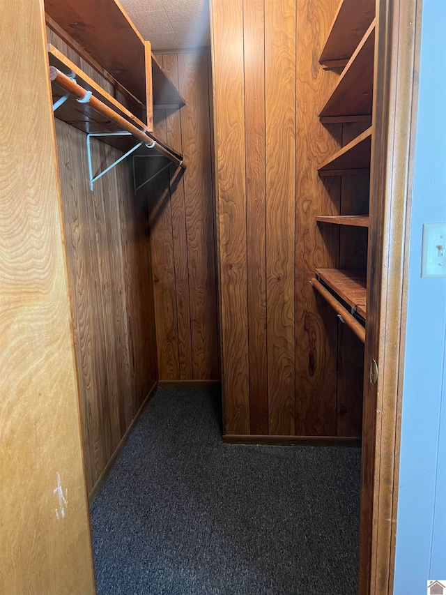 spacious closet with dark colored carpet