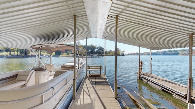 dock area with a water view