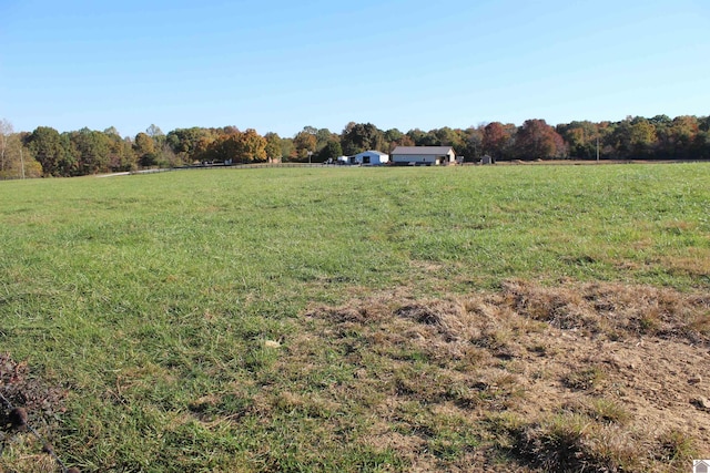 view of yard featuring a rural view