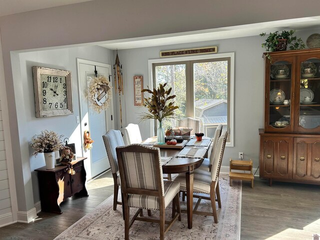 dining room featuring dark wood-type flooring