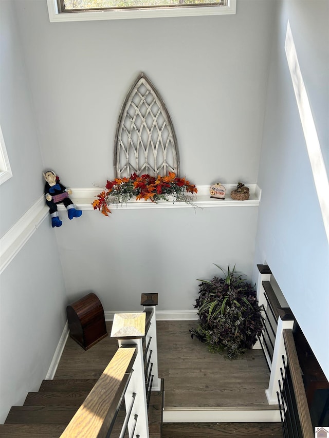 stairs with hardwood / wood-style floors