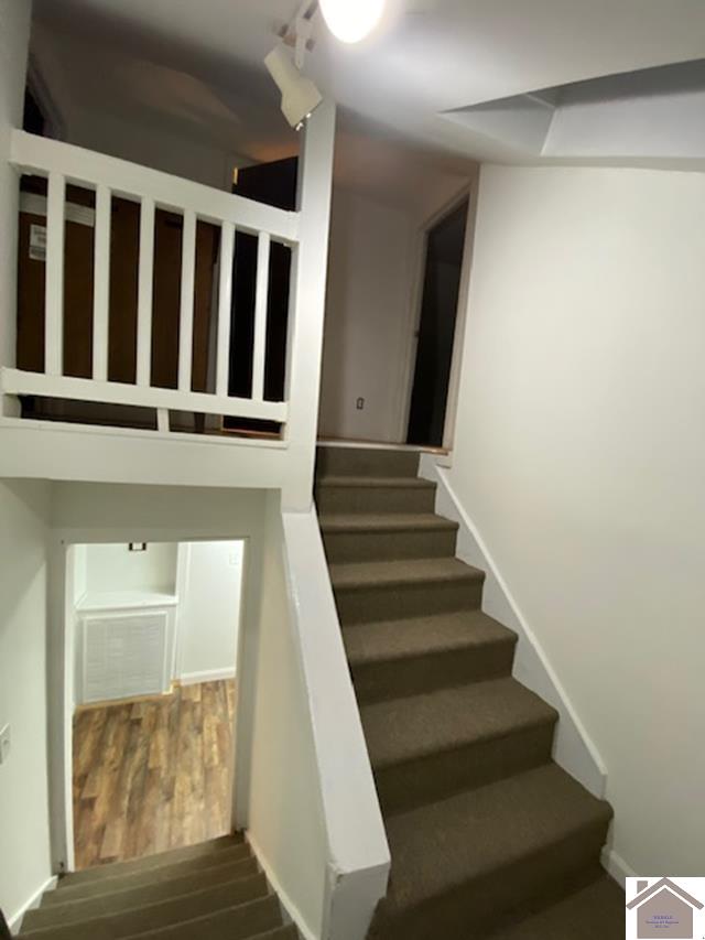 staircase featuring wood-type flooring