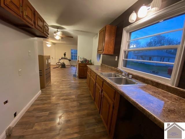 kitchen with sink, dark wood-type flooring, and ceiling fan