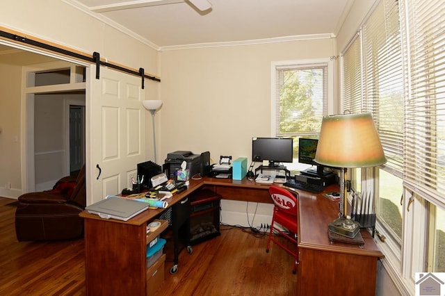 office area featuring ornamental molding, dark wood-type flooring, and a barn door