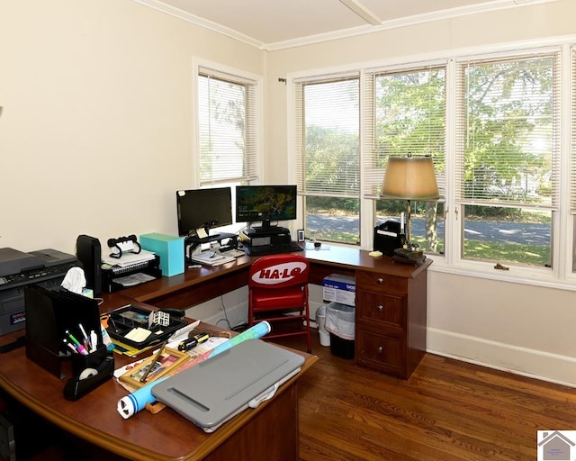 home office with crown molding, dark hardwood / wood-style floors, and a healthy amount of sunlight