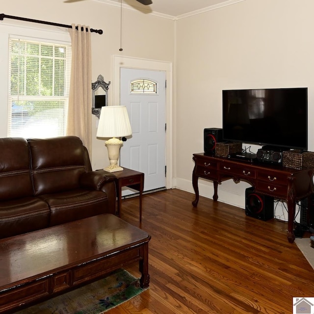 living room featuring crown molding and dark hardwood / wood-style floors