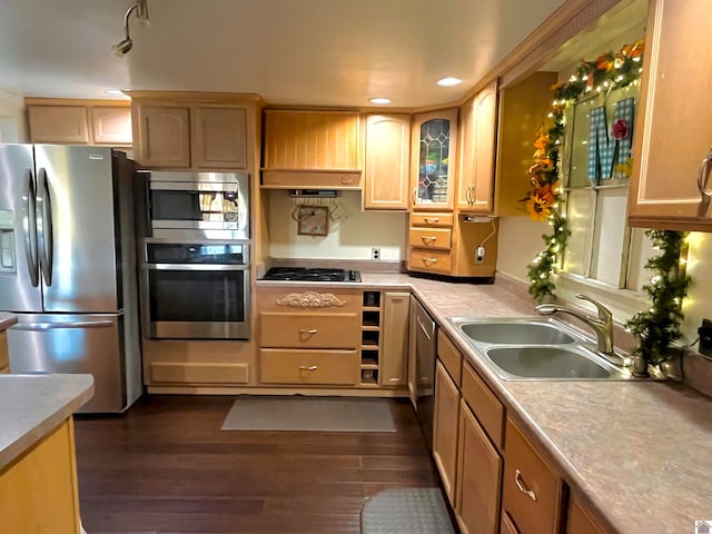 kitchen featuring sink, light brown cabinetry, dark wood-type flooring, and appliances with stainless steel finishes