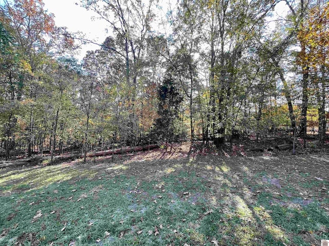 Listing photo 3 for LOT80 Cliffwood Ln, Murray KY 42071