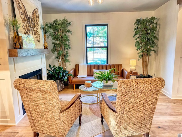 sitting room featuring light hardwood / wood-style floors