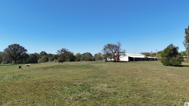 view of yard featuring a rural view