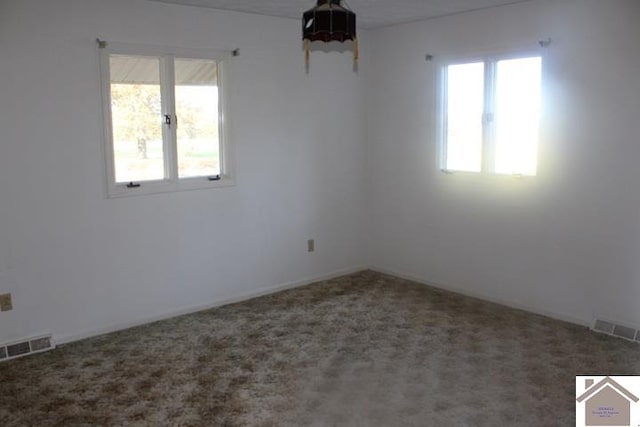 spare room featuring a healthy amount of sunlight and carpet flooring