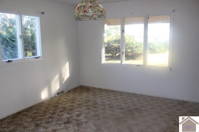 spare room featuring carpet floors and plenty of natural light