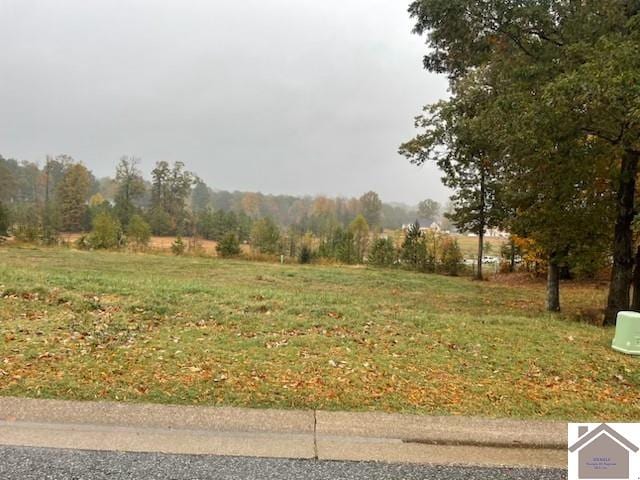 LOT92 Forest Ridge Dr, Paducah KY, 42003 land for sale