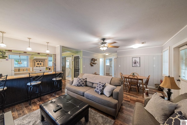 living room with crown molding, a textured ceiling, dark hardwood / wood-style floors, sink, and ceiling fan