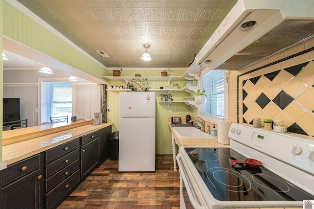 kitchen with sink, dark hardwood / wood-style floors, crown molding, ventilation hood, and white appliances