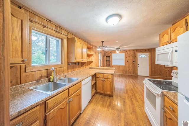 kitchen with white appliances, wooden walls, sink, light hardwood / wood-style floors, and kitchen peninsula