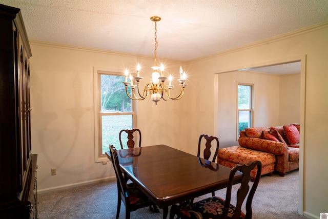 dining space with a wealth of natural light, a textured ceiling, and carpet floors