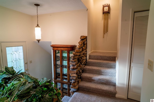 1776 Wice Church Rd, Boaz, KY 42027 - stairs featuring carpet, ornamental molding, and baseboards