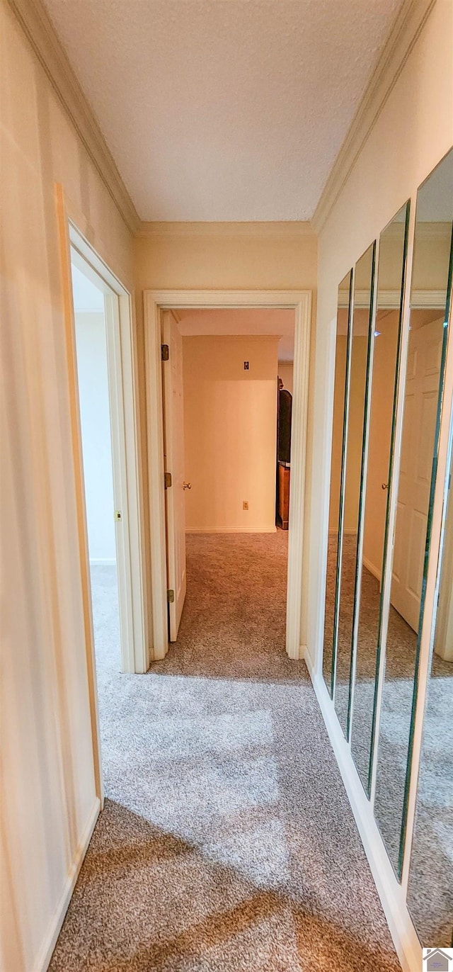 hall with a textured ceiling, carpet floors, and ornamental molding