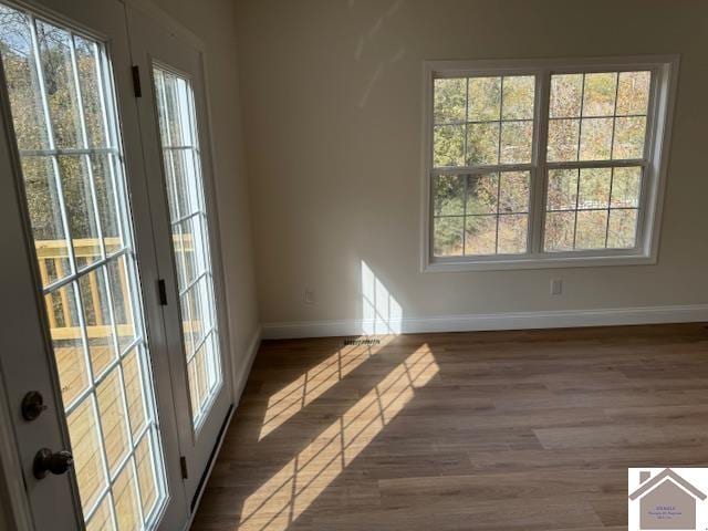 unfurnished room featuring dark wood-type flooring and plenty of natural light