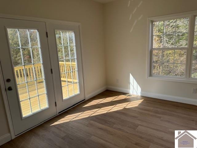 doorway with dark hardwood / wood-style floors and plenty of natural light