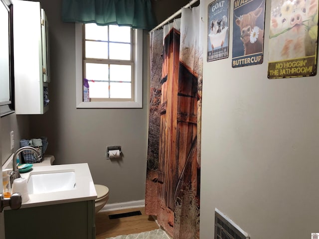 bathroom with walk in shower, hardwood / wood-style floors, vanity, and toilet