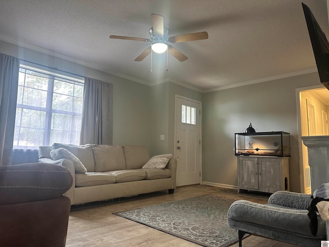 living room featuring ceiling fan, wood-type flooring, a textured ceiling, and crown molding