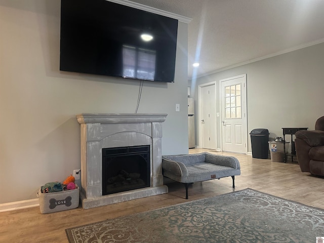 living room featuring wood-type flooring and crown molding