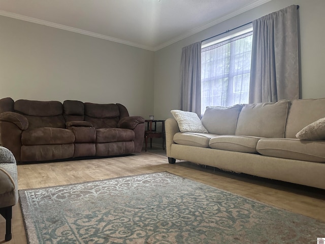 living room with light hardwood / wood-style flooring and ornamental molding