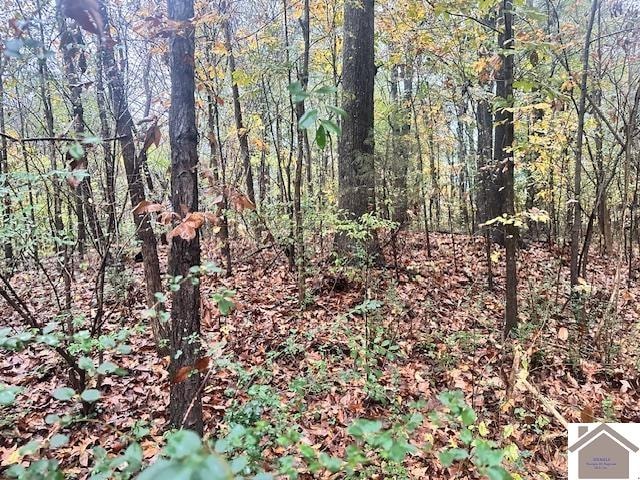 4660 Epperson Rd, Paducah KY, 42003 land for sale