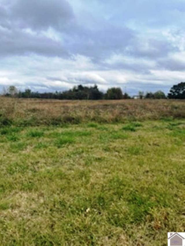 3160 New Holt Rd, Paducah, KY 42001