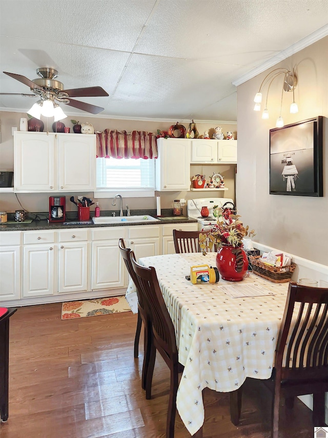 kitchen with dark hardwood / wood-style flooring, sink, crown molding, and white cabinets