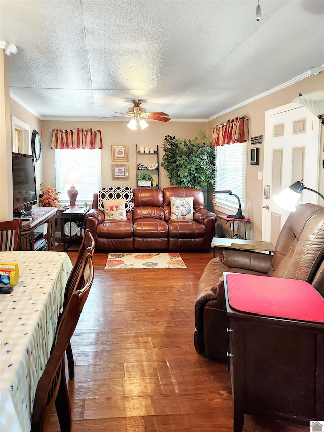 living room featuring a wealth of natural light, ceiling fan, a textured ceiling, and hardwood / wood-style flooring