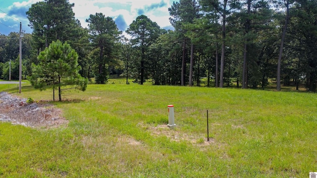 Listing photo 2 for LOT26 Pine View Dr, Benton KY 42025