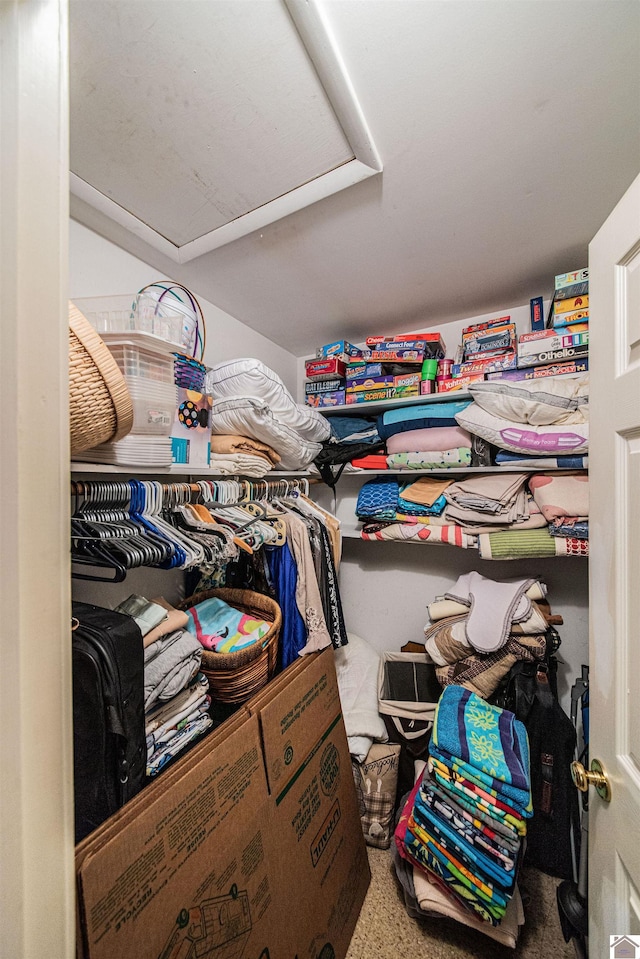 view of spacious closet