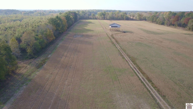 000 Holloway Landing Rd, Barlow KY, 42024 land for sale