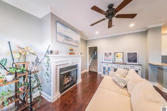 living room featuring dark hardwood / wood-style floors, ceiling fan, and crown molding