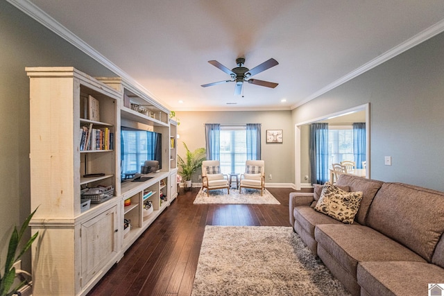 living room featuring ceiling fan, dark hardwood / wood-style flooring, and ornamental molding