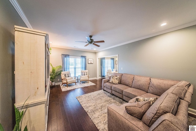 living room featuring ceiling fan, dark hardwood / wood-style flooring, and crown molding