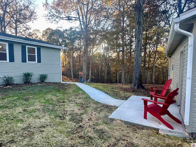 view of yard featuring a patio