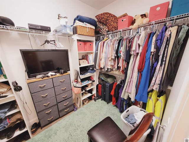 spacious closet with carpet floors