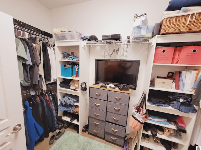 view of spacious closet