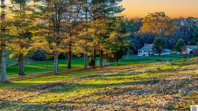 view of property's community featuring a lawn