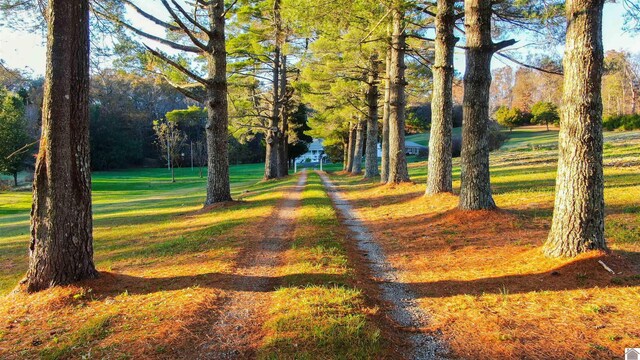 view of surrounding community