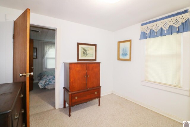 bedroom with carpet floors