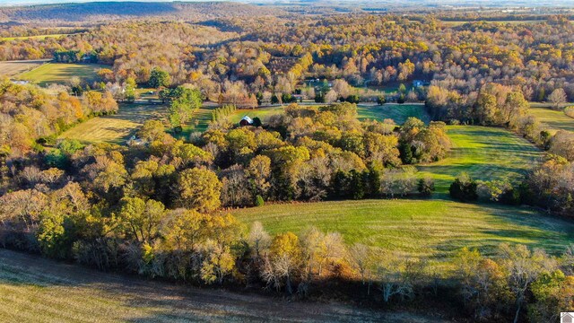 bird's eye view featuring a rural view