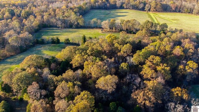 aerial view featuring a rural view